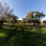 Oltrepassato l�ostacolo ci incamminiamo lungo un sentiero di campagna in salita...